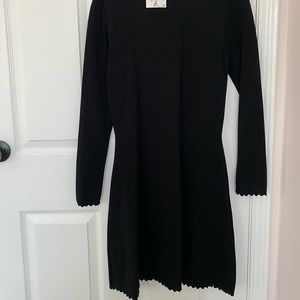 NWT Zara Knit Turtleneck Dress